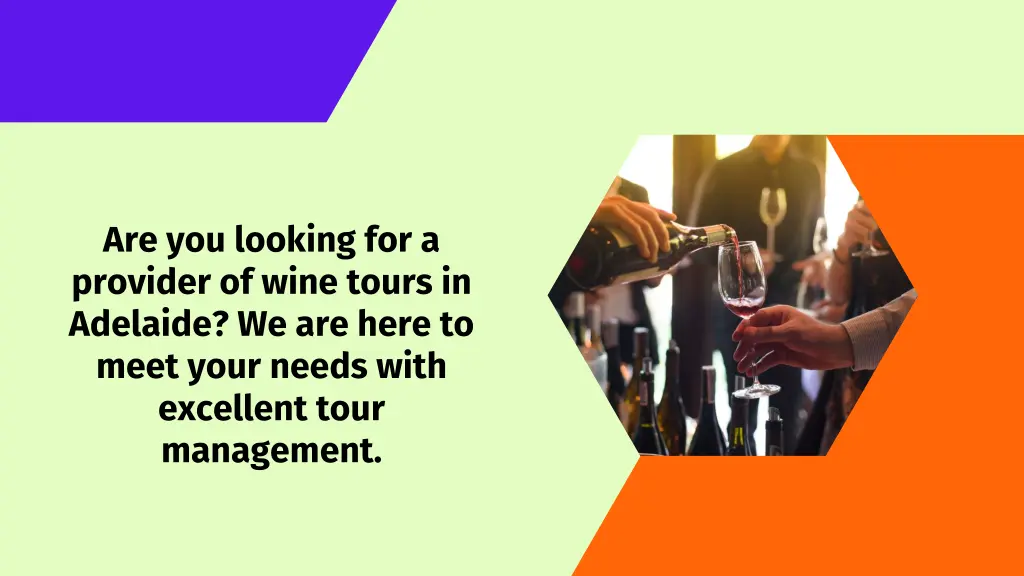 are you looking for a provider of wine tours