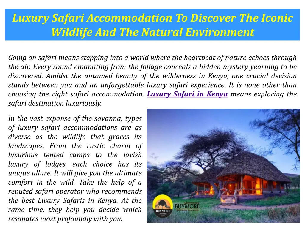 luxury safari accommodation to discover