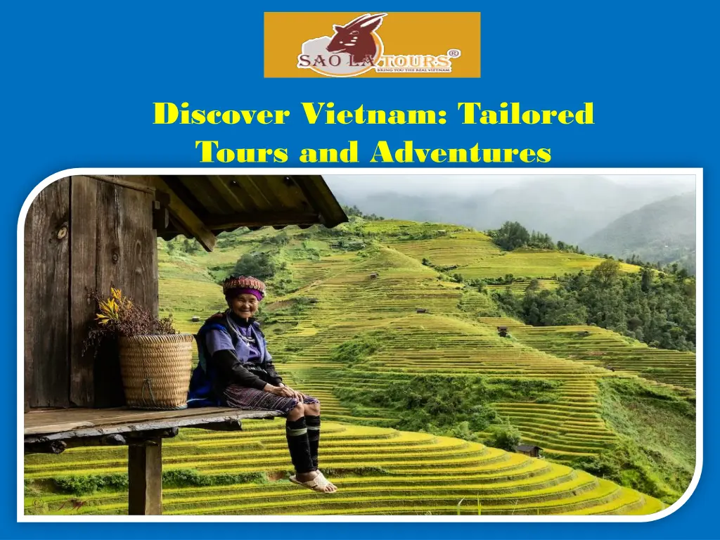 discover vietnam tailored tours and adventures 1