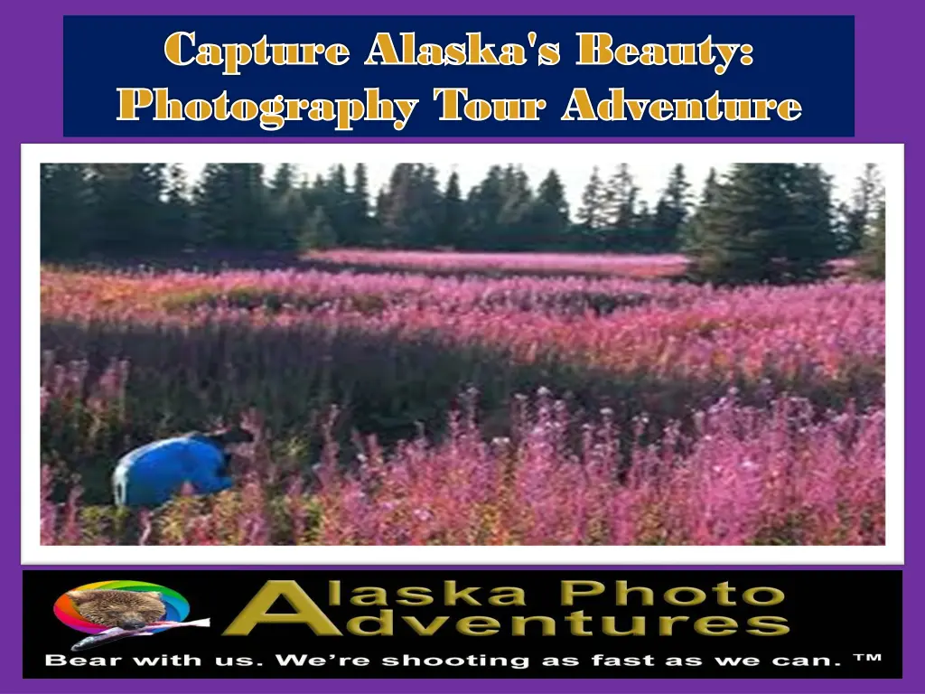 capture capture alaska s beauty alaska s beauty 2