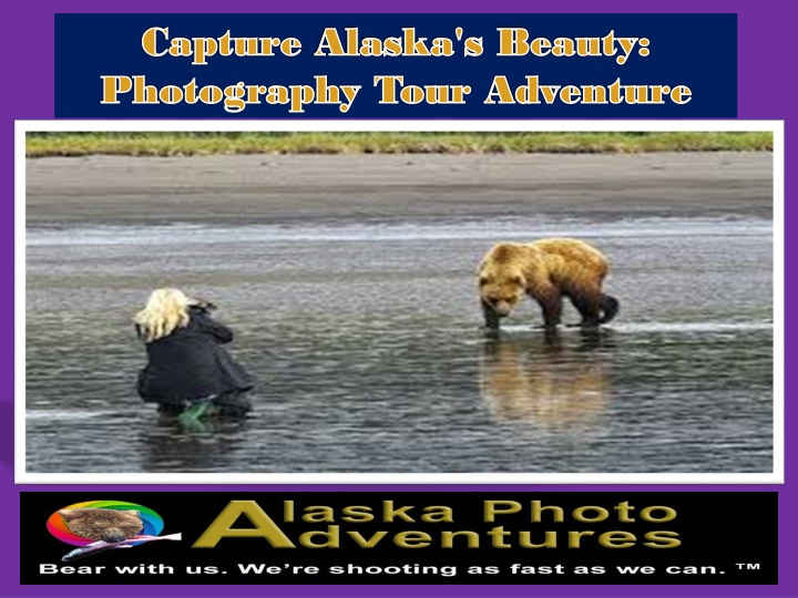 capture capture alaska s beauty alaska s beauty