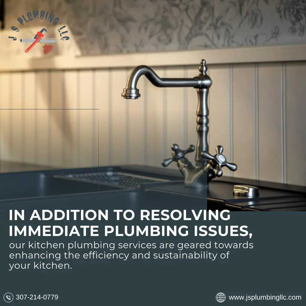 in addition to resolving immediate plumbing