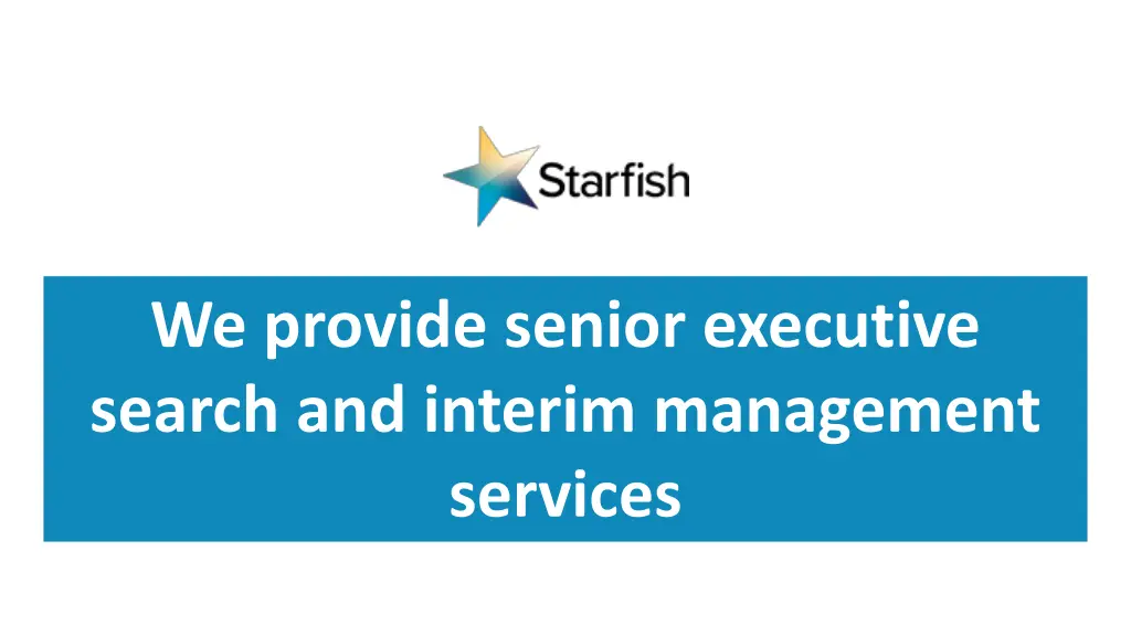 we provide senior executive search and interim