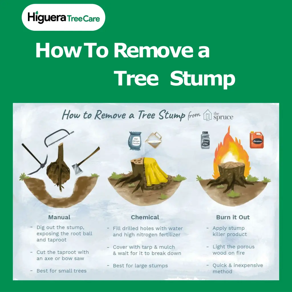 howtoremovea tree stump