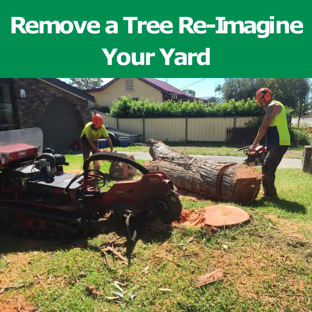 removeatreere i magine youryard