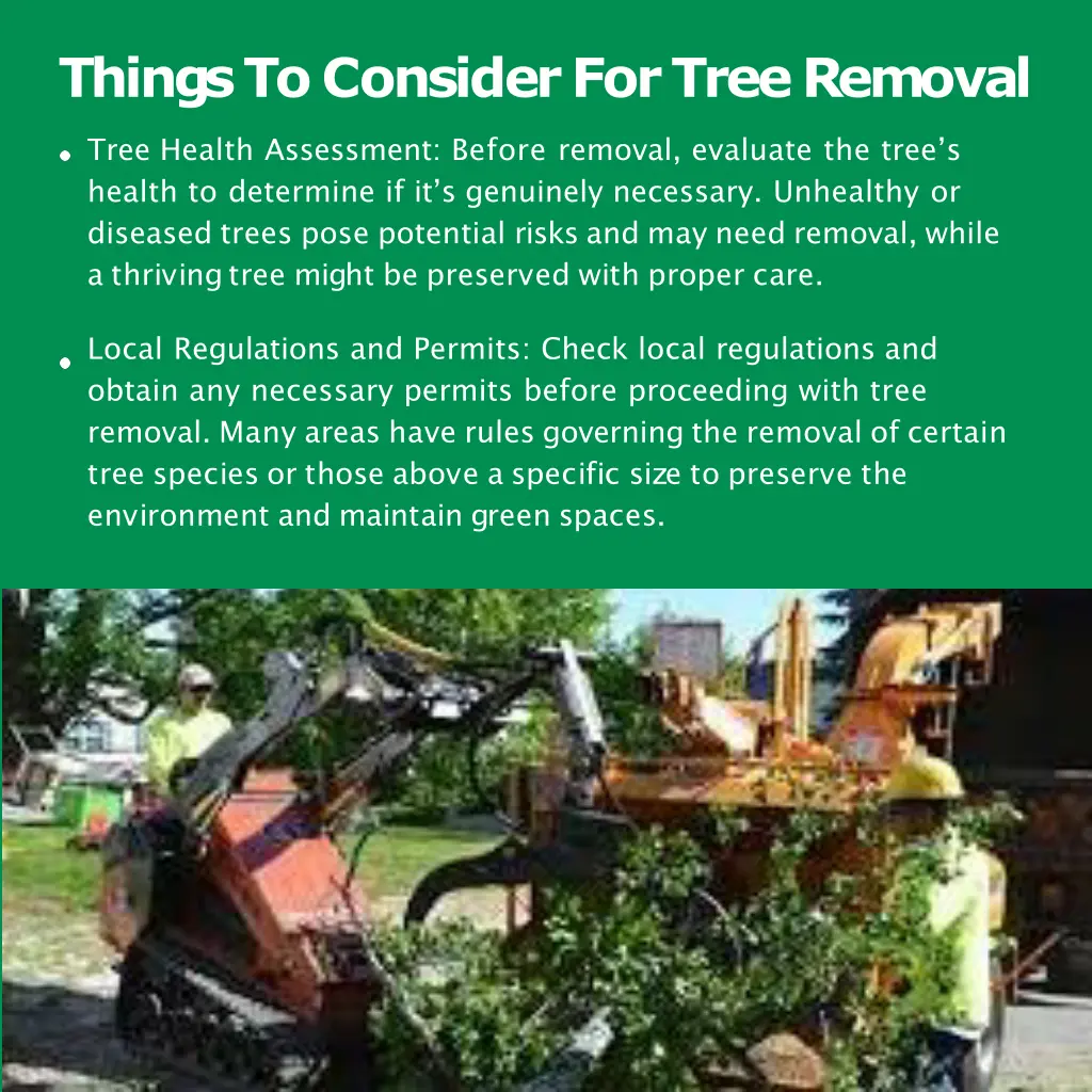 thingstoconsiderfortreeremoval