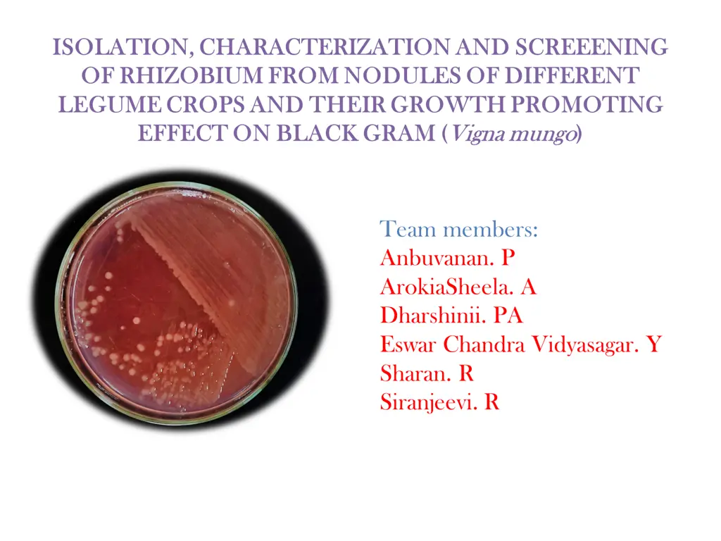 isolation characterization and screeening