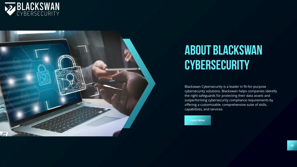 about blackswan cybersecurity