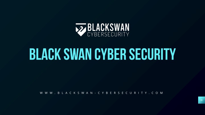 black swan cyber security