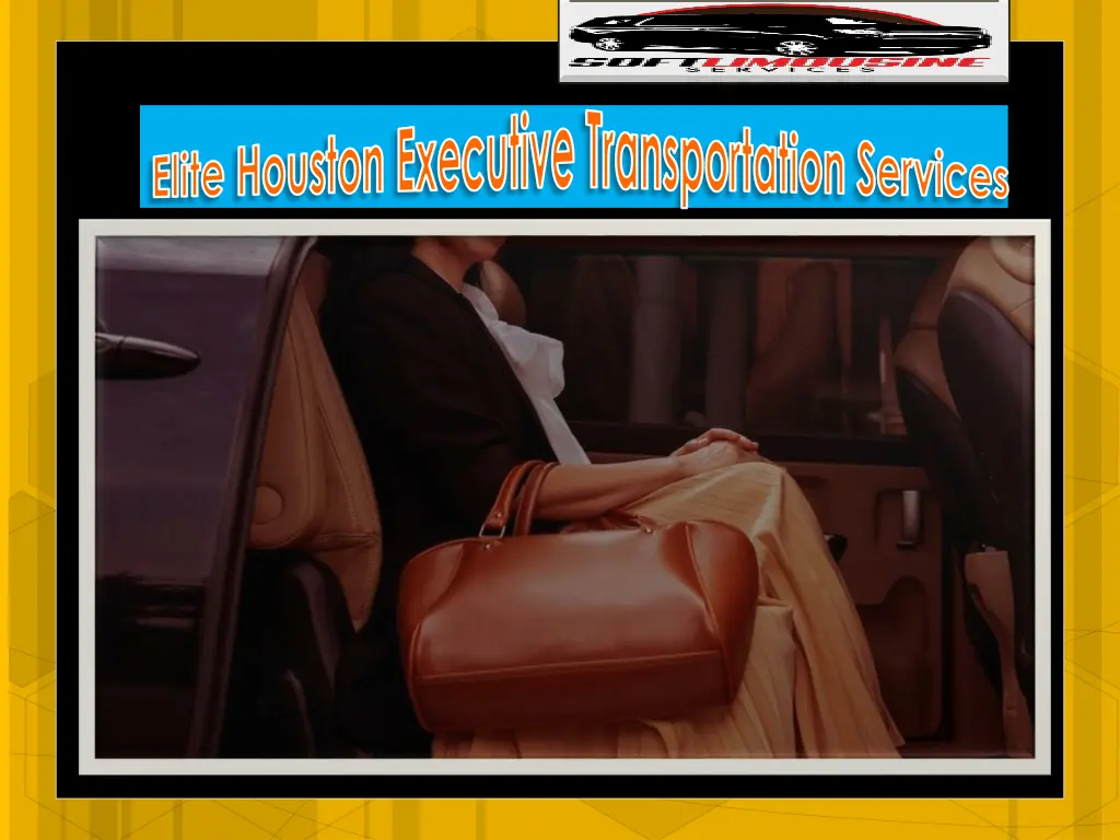 elite houston executive transportation services 1