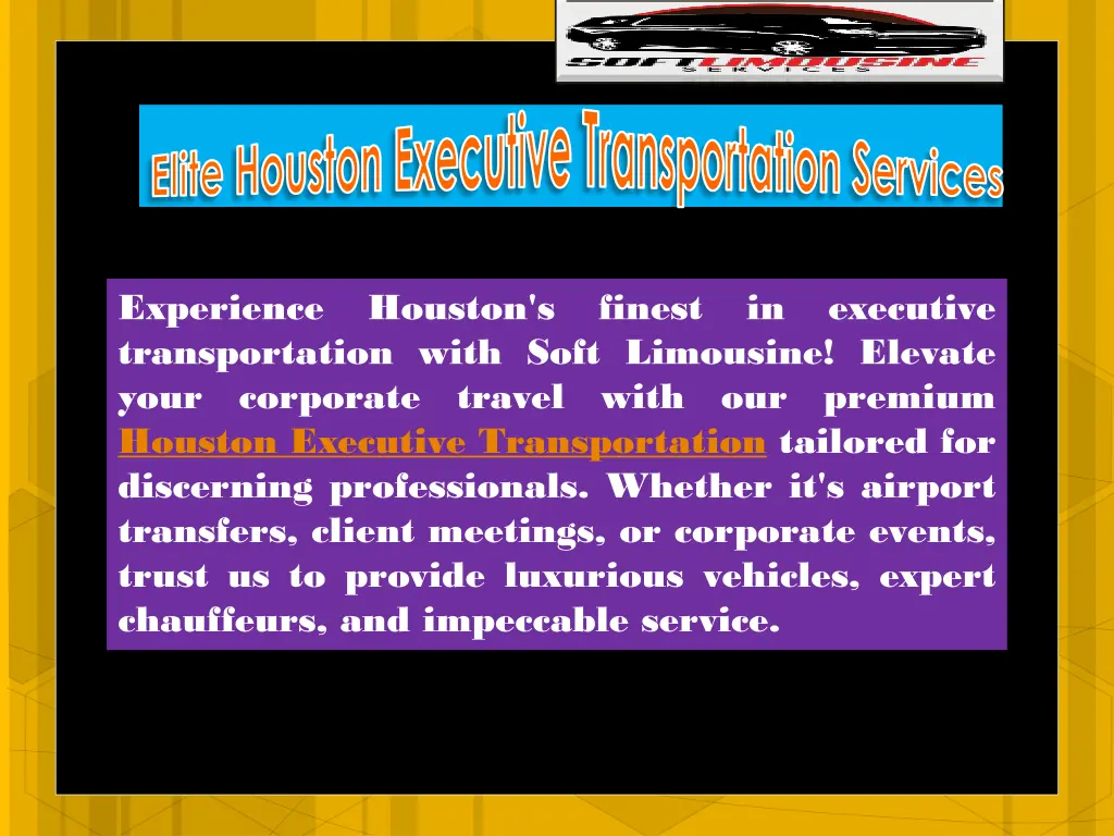 elite houston executive transportation services 3