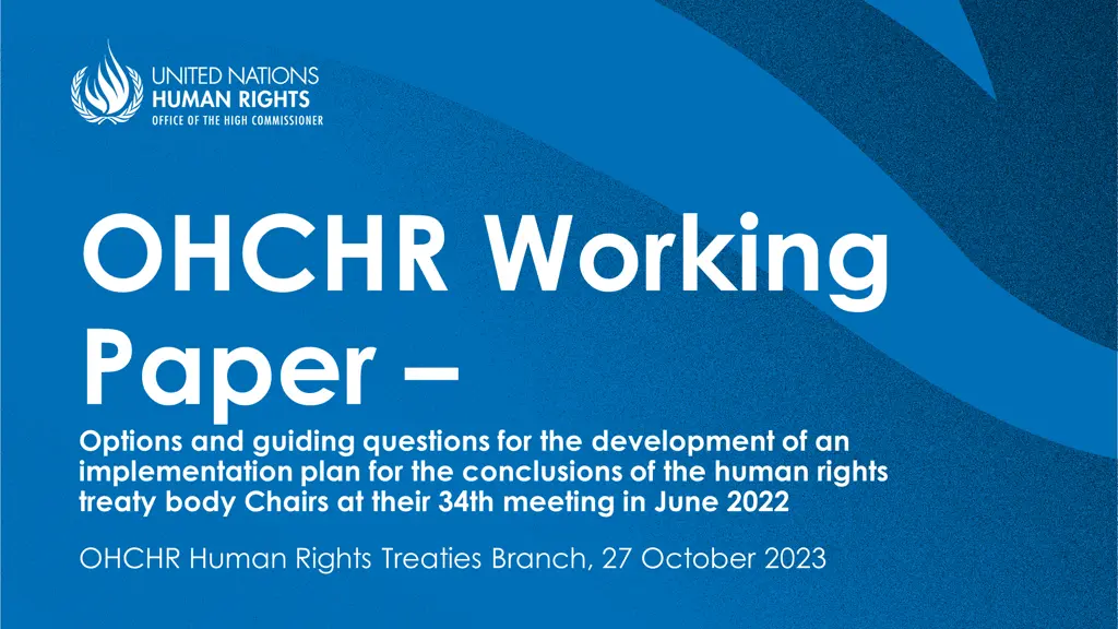 ohchr working paper options and guiding questions