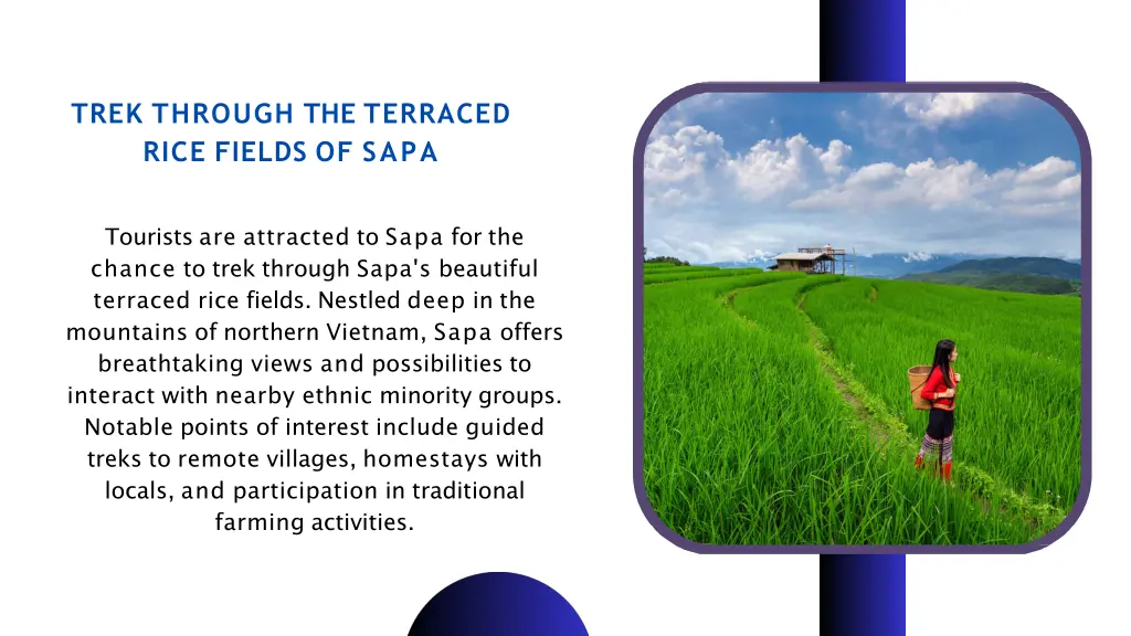 trek through the terraced rice fields of sapa