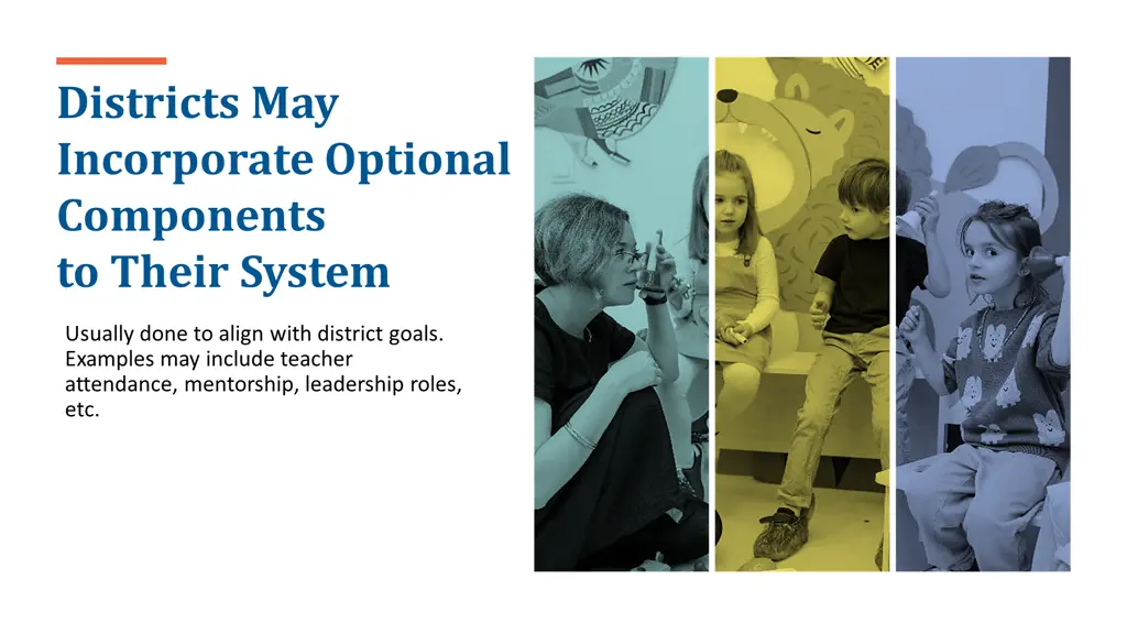 districts may incorporate optional components