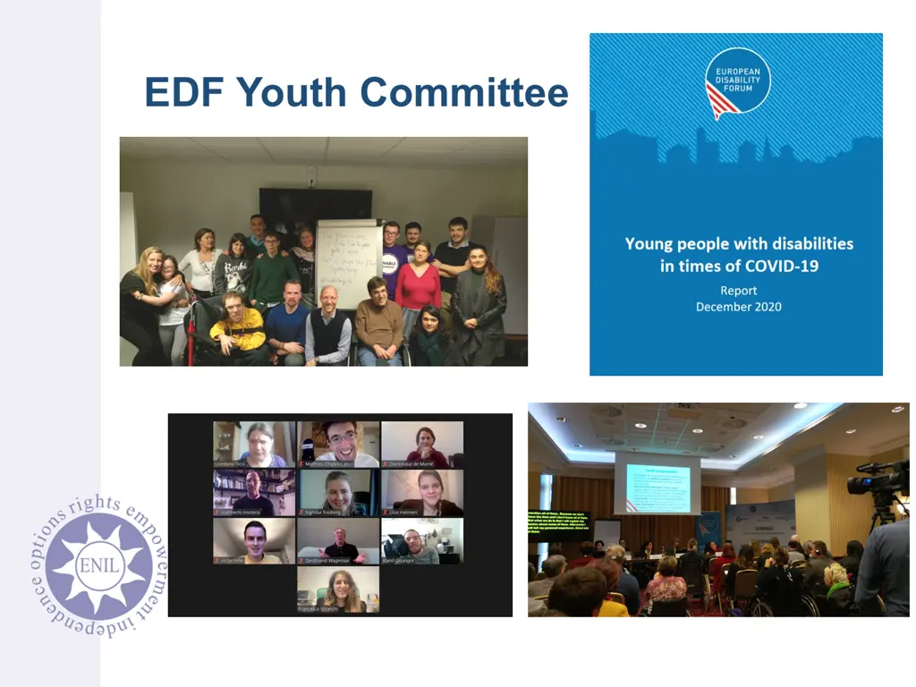 edf youth committee