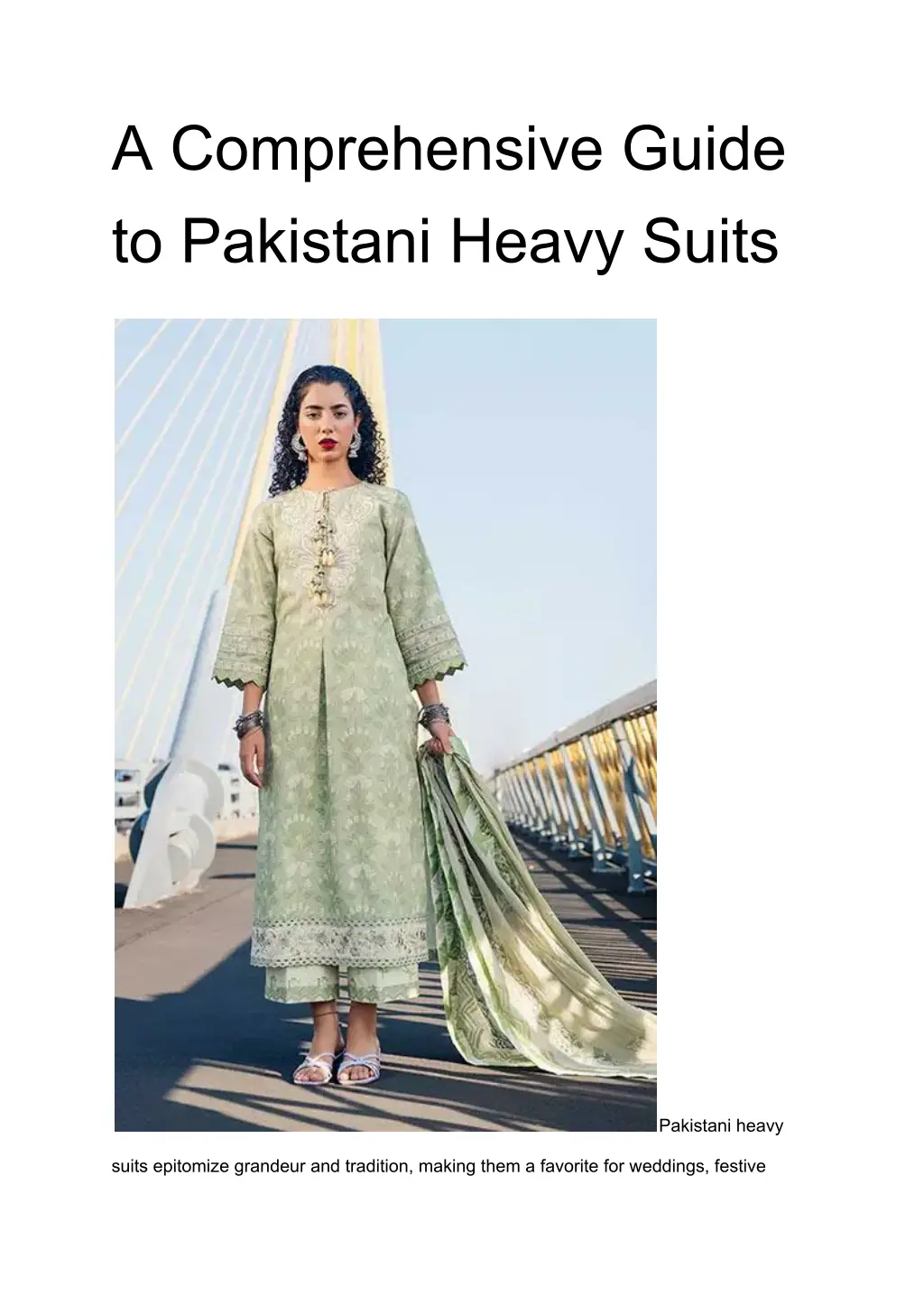 a comprehensive guide to pakistani heavy suits