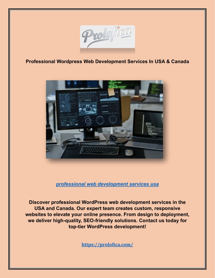 professional wordpress web development services
