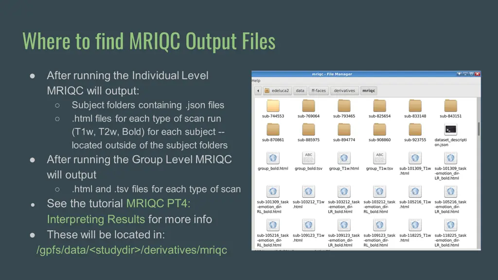 where to find mriqc output files