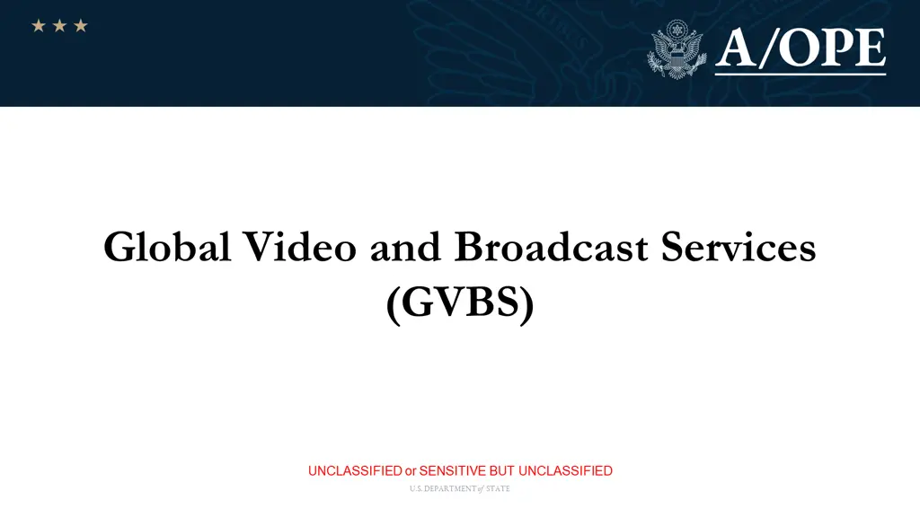 global video and broadcast services gvbs