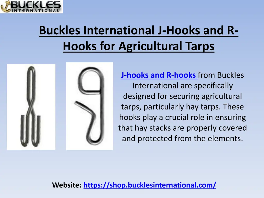 buckles international inc 2