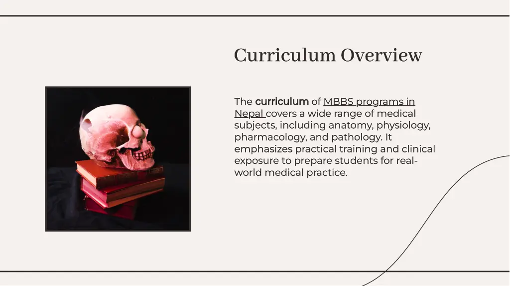 curriculum overview curriculum overview