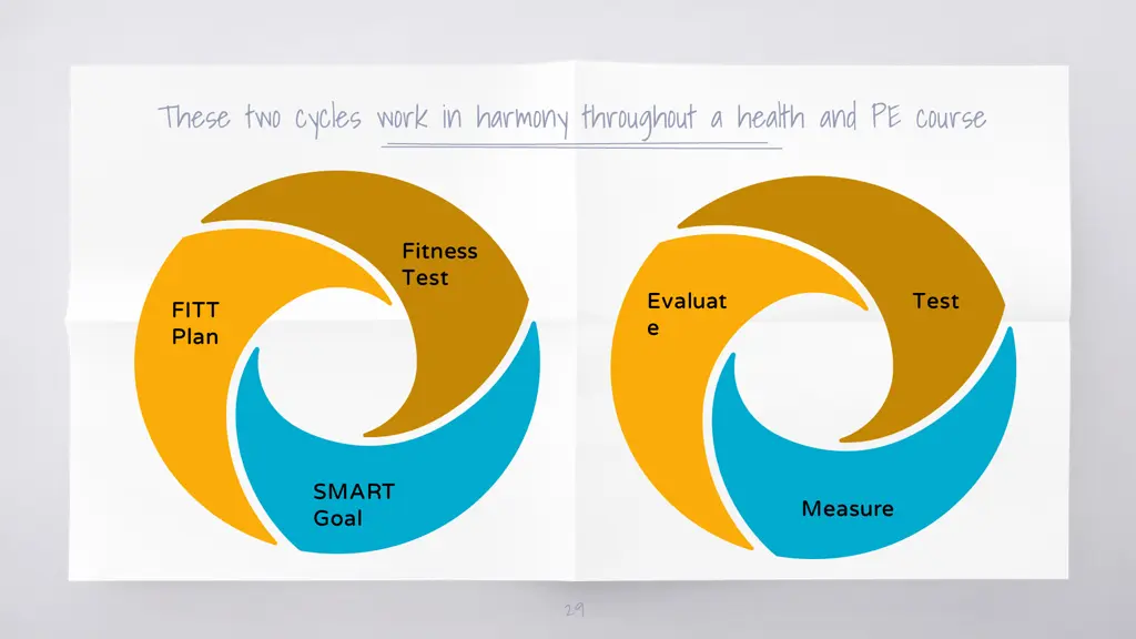 these two cycles work in harmony throughout