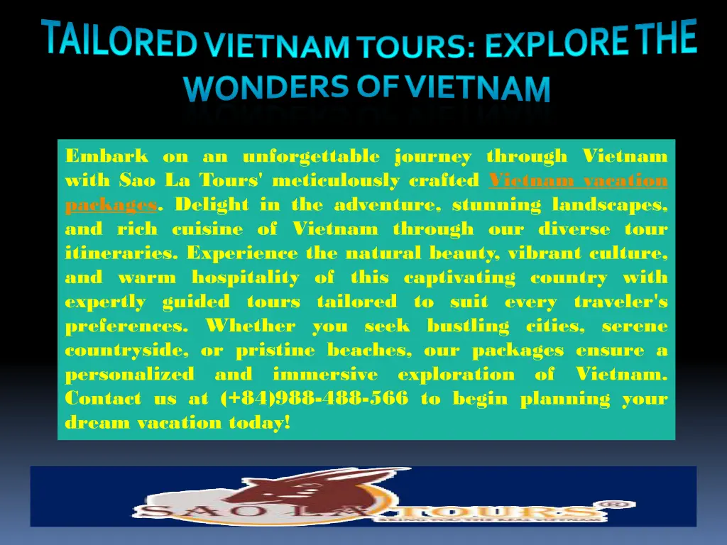 tailored vietnam tours explore the wonders 3