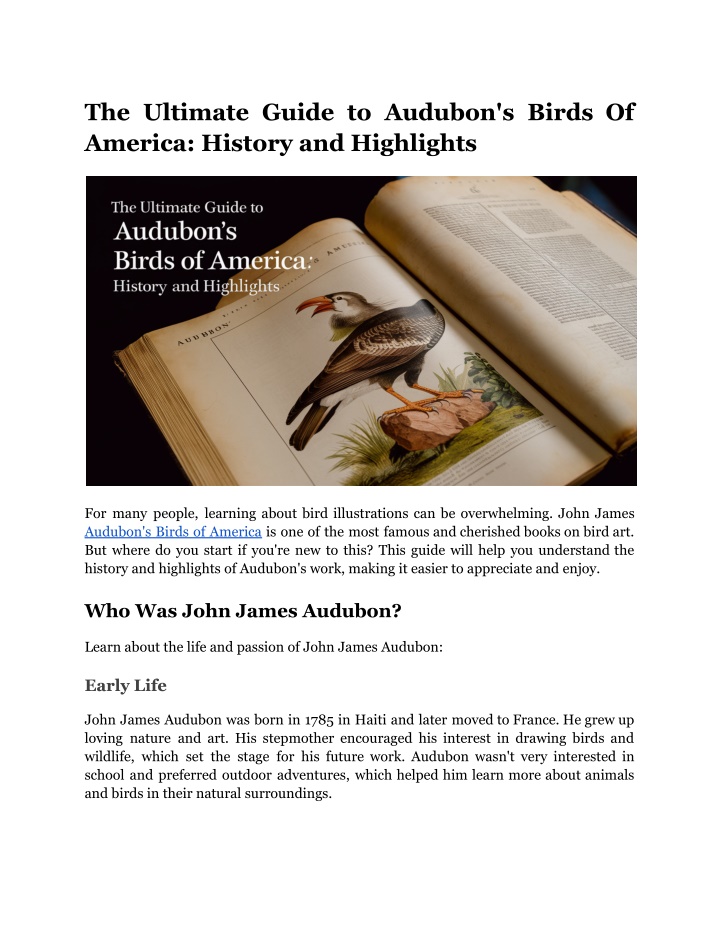 the ultimate guide to audubon s birds of america