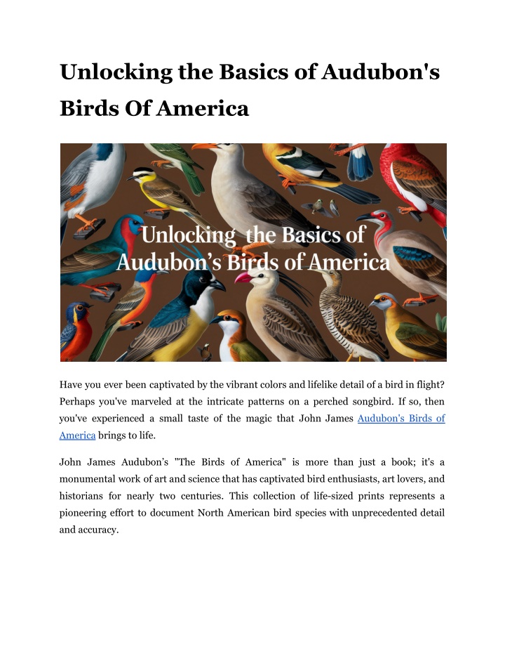 unlocking the basics of audubon s