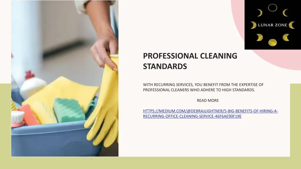 professional cleaning standards