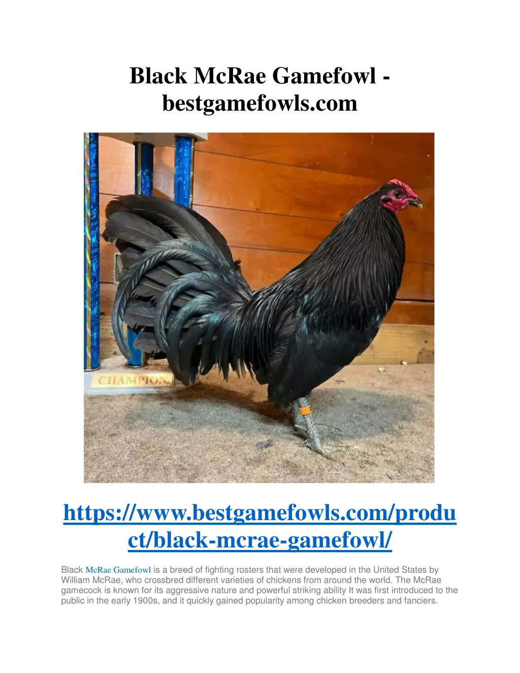 black mcrae gamefowl bestgamefowls com