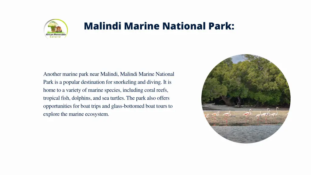 malindi marine national park