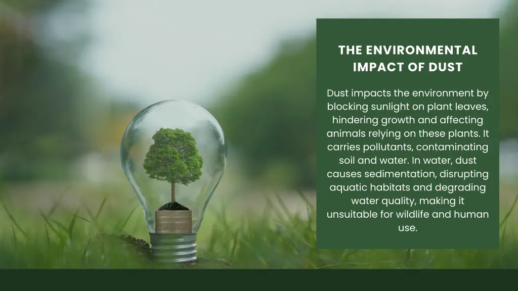 the environmental impact of dust