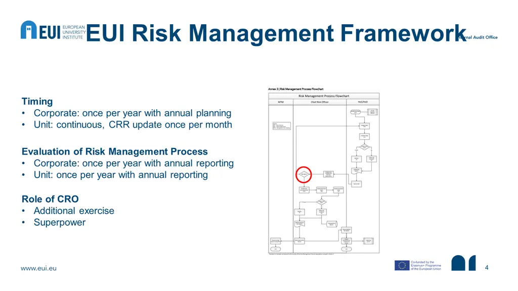 eui risk management framework