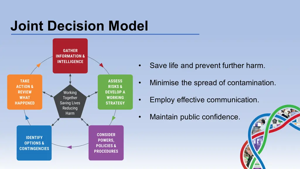 joint decision model