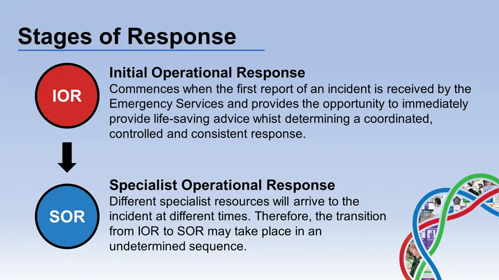 stages of response