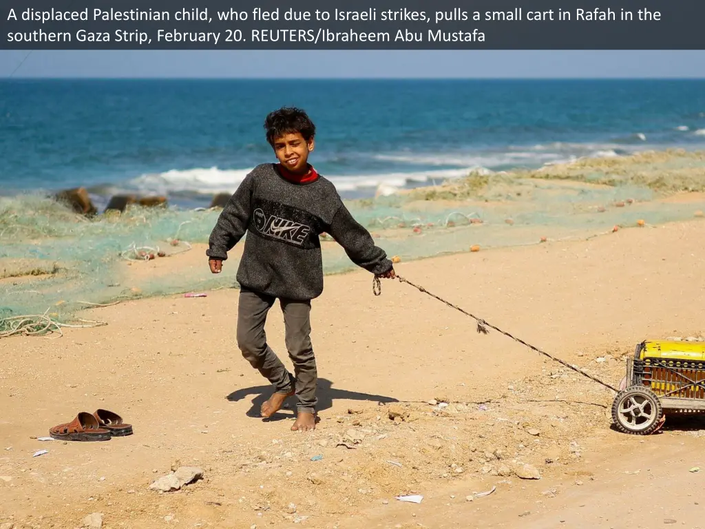a displaced palestinian child who fled