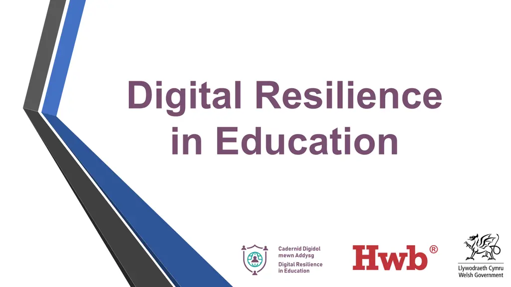digital resilience in education