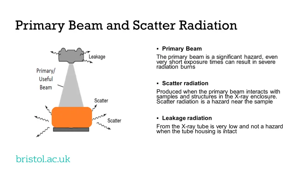 primary beam and scatter radiation