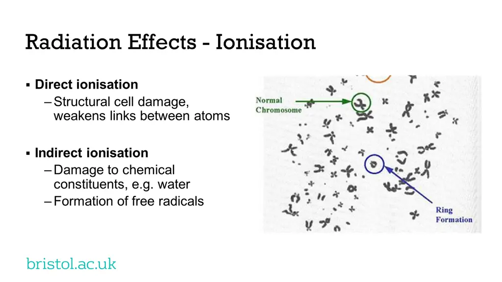 radiation effects ionisation