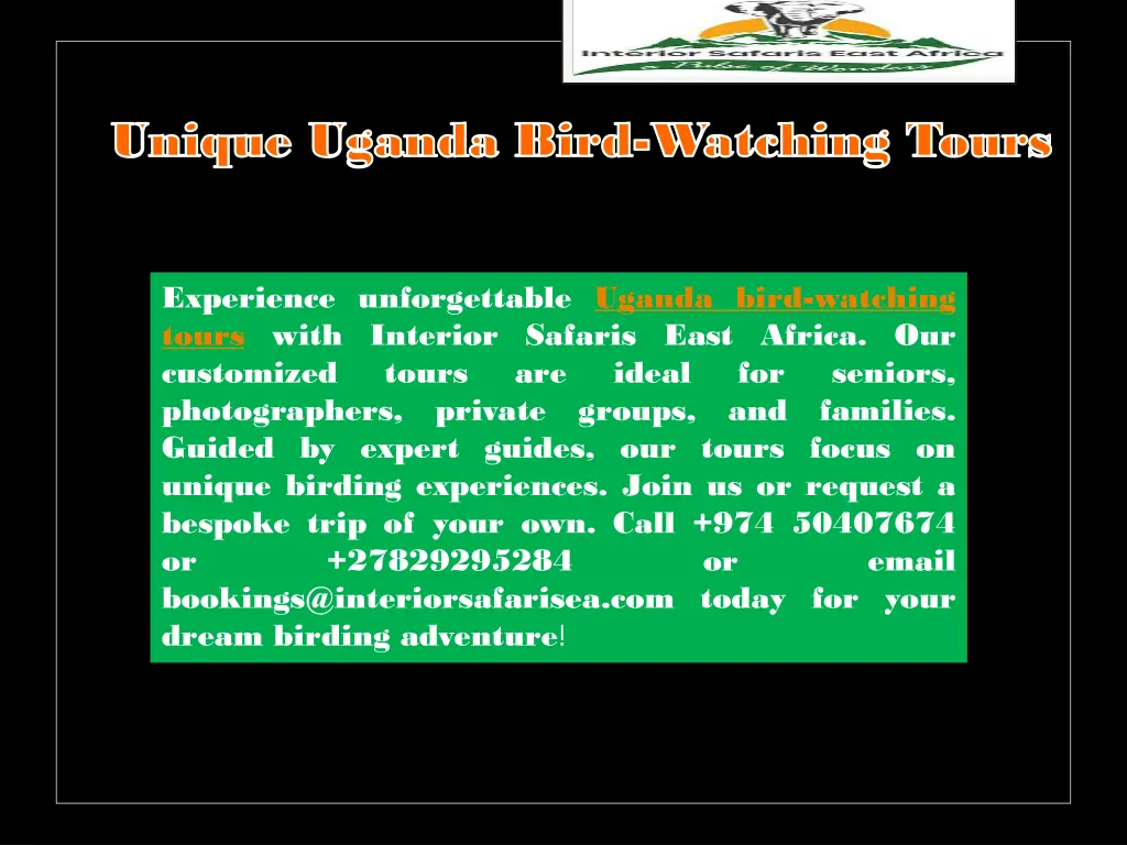 unique uganda bird unique uganda bird watching 3