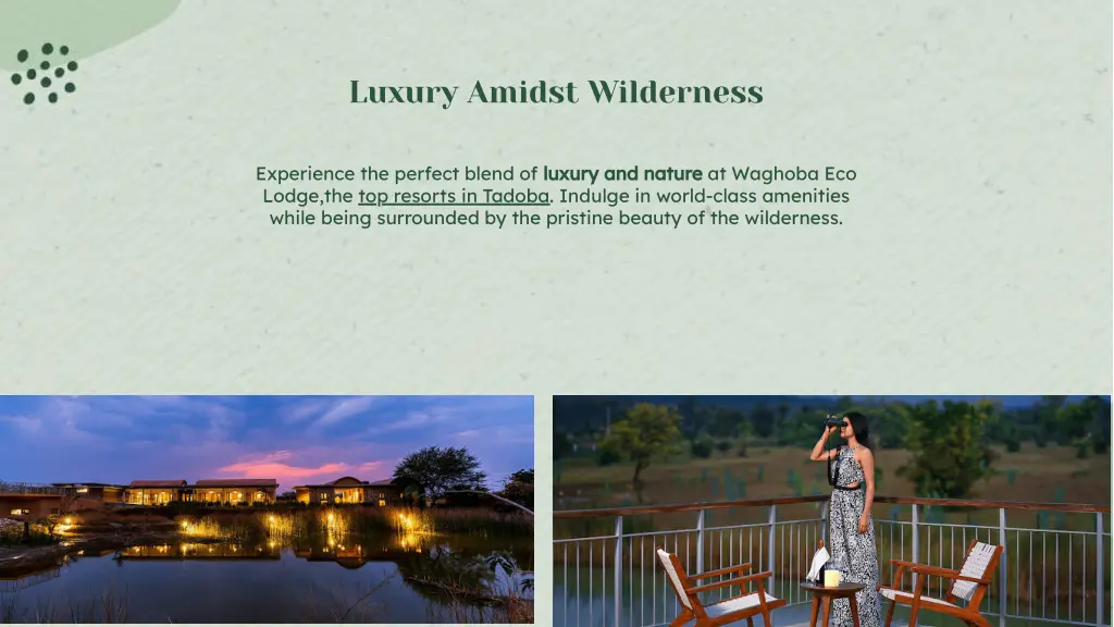 luxury amidst wilderness