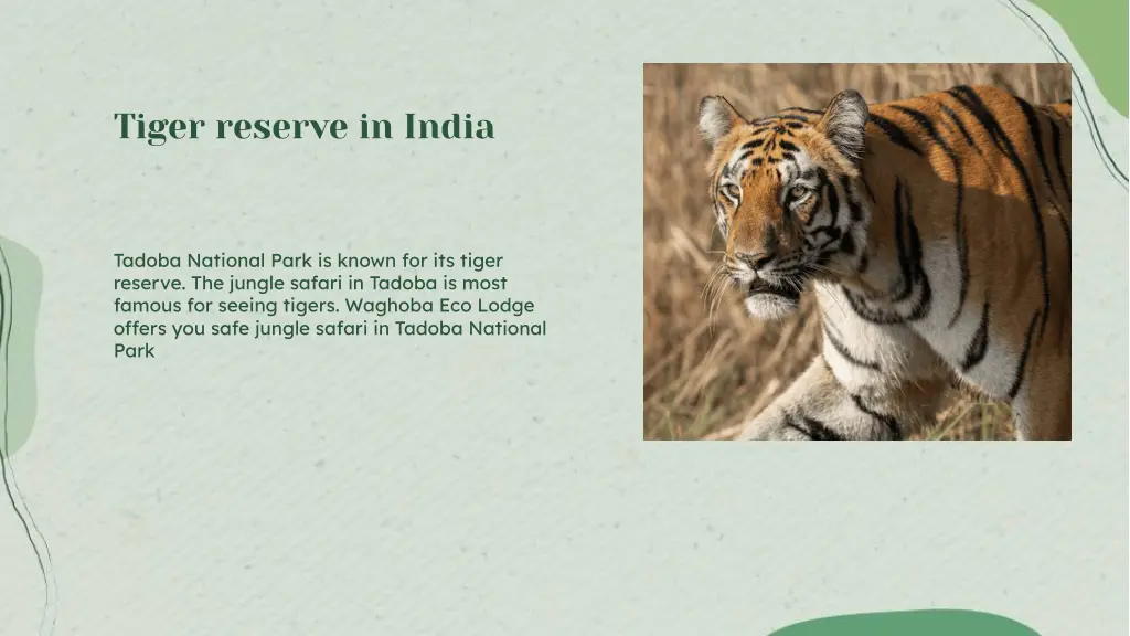 tiger reserve in india