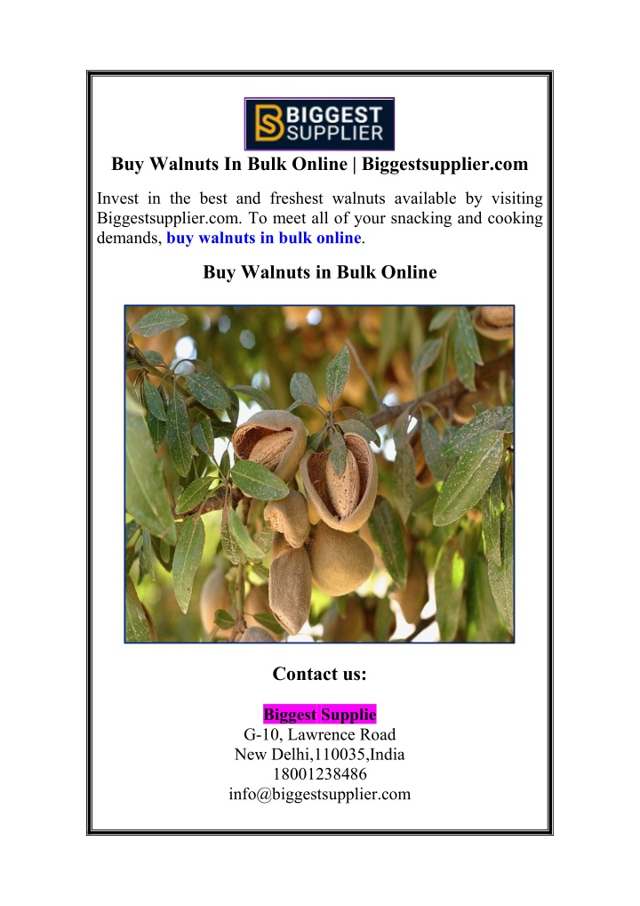 buy walnuts in bulk online biggestsupplier com