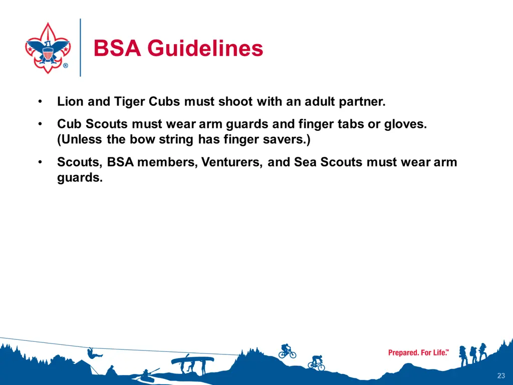 bsa guidelines