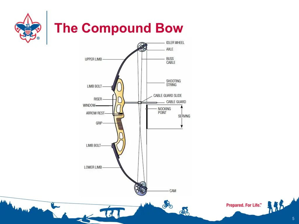 the compound bow