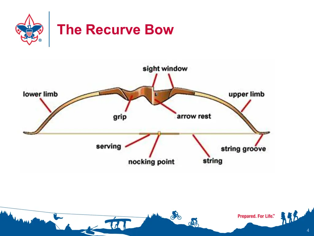 the recurve bow