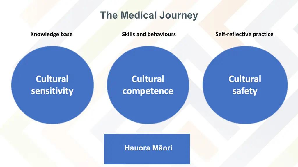 the medical journey