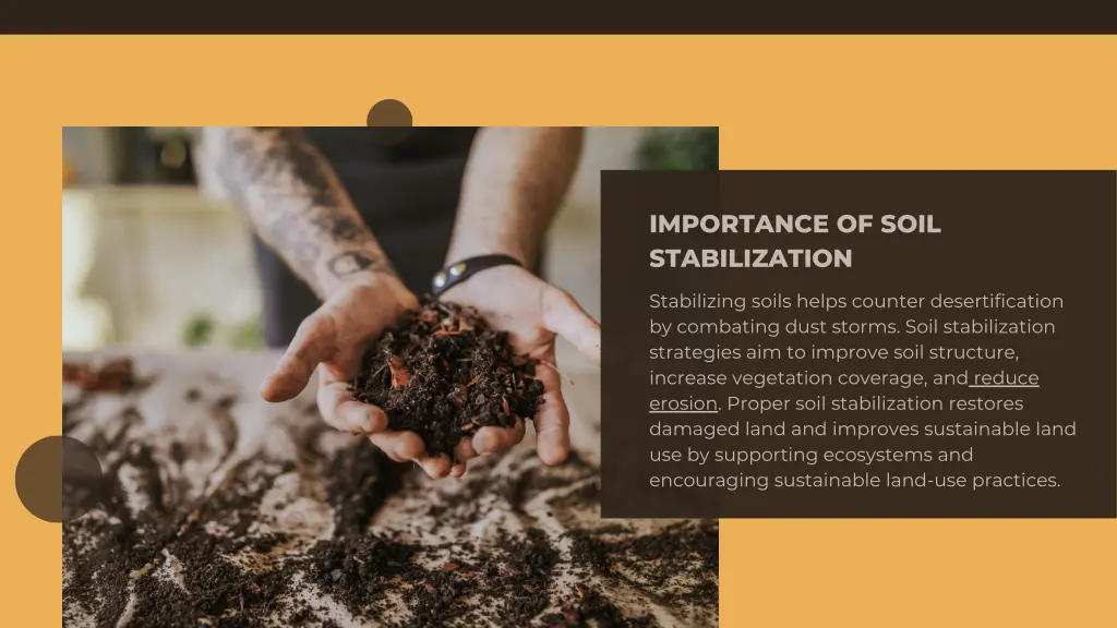 importance of soil stabilization