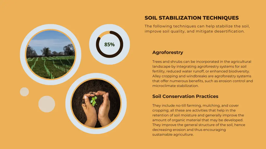 soil stabilization techniques
